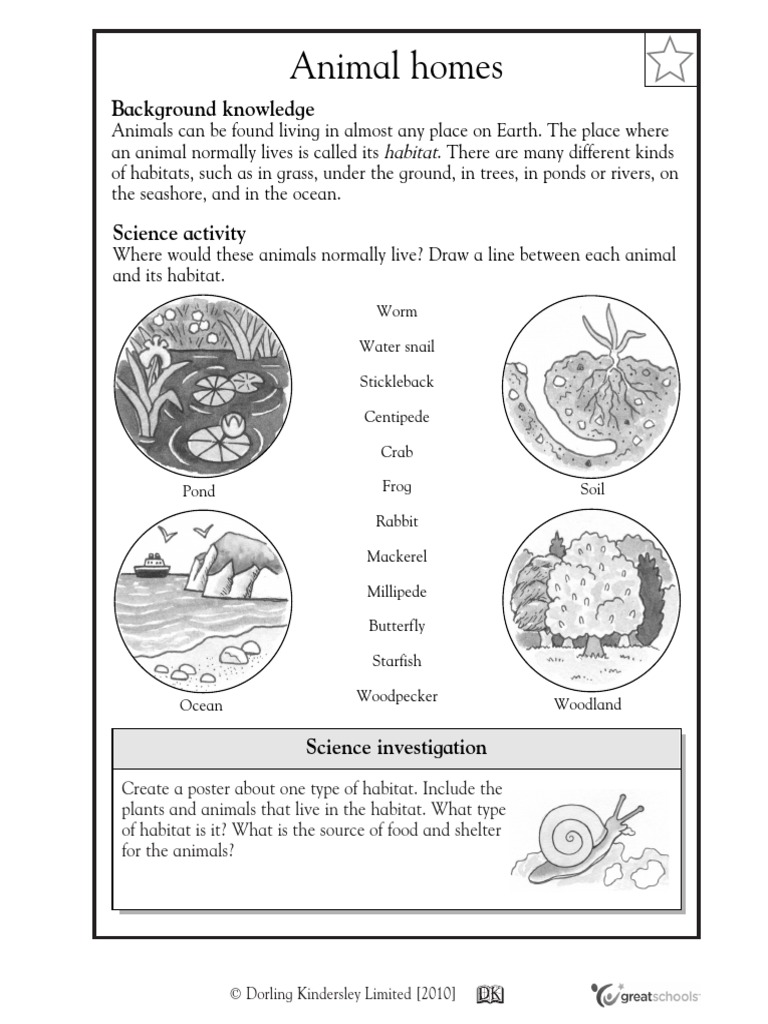 Animal Habitats PDF PDF Habitat Organisms
