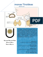 Hormonas Tiroideas.pdf