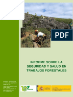 Informe Seguridad Trabajos Forestales PDF