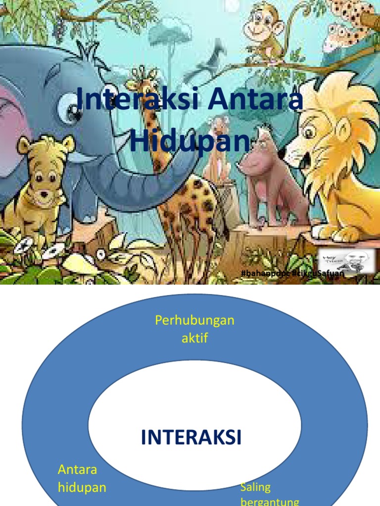 TAHUN 6-Interaksi Antara Hidupan