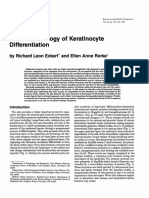 Molecular Biology of Keratinocyte Differentiation