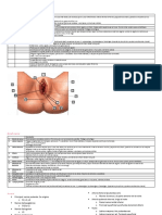 Cuestionario - Repaso de Anatomia en Ginecologia