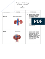 Almar Sasabo Assignment in Zoology