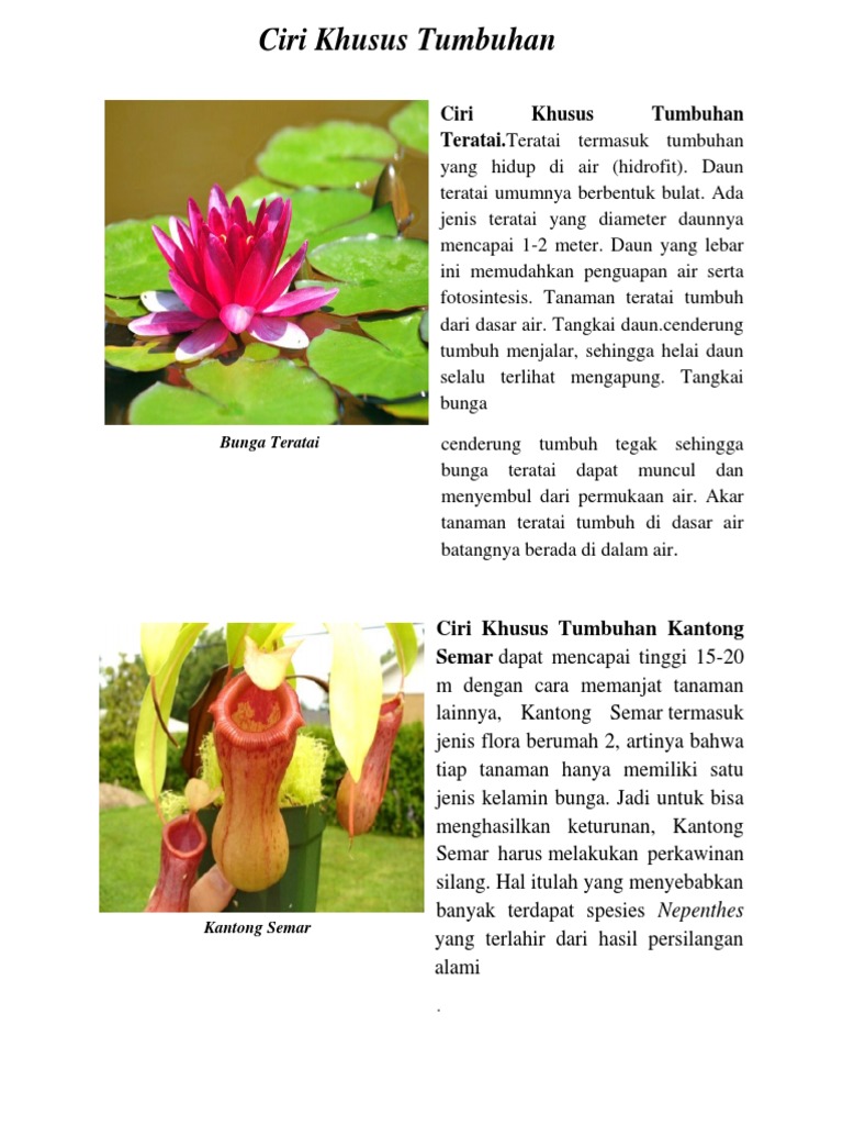 Ciri Bunga Teratai Kaktus Kantong Semar Pdf