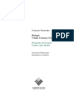 Programa de estudios 4to medio diferenciado.pdf
