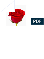 Red_rose.docx
