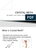 Crystal Meth: by Kaitlin, Lisa, Schea, Emily and Frauke