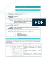 Framework proiect- 11.01.docx