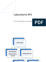 Lab 1 de Parasitos