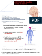 Biology Notes