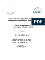 Programa Neuropsicología Del Desarrollo 2017 (INPI-InPP) F