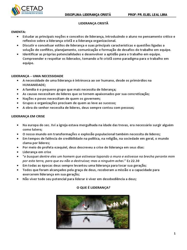 Apostila De Liderança Pdf Liderança Inteligência Emocional