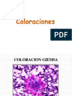 Coloraciones Microbiologia