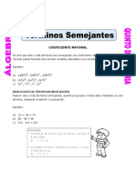 Terminos Semejantes Con Coeficiente Natural para Quinto de Primaria