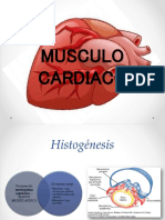 MUSCULO CARDIACO