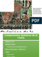 Composición Química PDF
