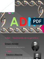 El Adn PDF