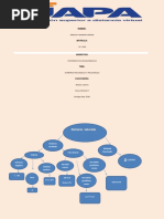 Organizador Visual LISTA PARA ENVIAR