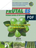 limon.pdf