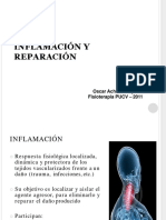 Inflamacion PDF