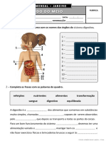 Estudo Do Meio