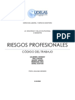 RIESGOS PROFESIONALES