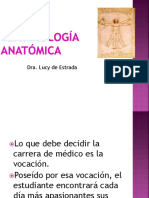 Clase Terminología Anatómica 2019