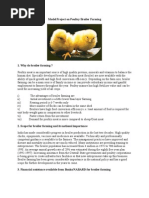 Download Model Project on Poultry Broiler Farming by sahaaaman SN40164762 doc pdf