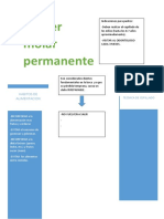 Primer Molar Permanente