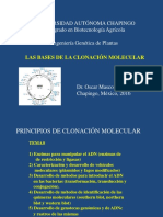 1.PrincipiosClonacion(2016).pdf