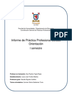 ORIENTACION Informe de Práctica Profesional Guiada.docx