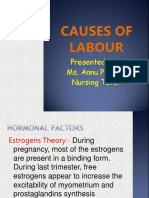 Causes of Labour