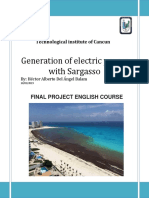 Generation of Electric Power With Sargazo