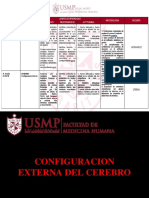 (03) HEMISFERIOS CEREBRALES...