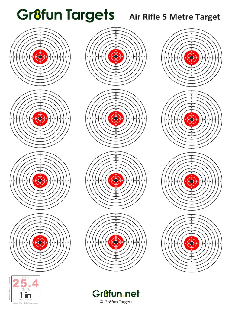 5 Metre Air Rifle Target Guide | PDF