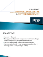 Anatomi Muskuloskeletal & Integumen DR - Suhada