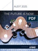 Us Audit 2025 Final Report