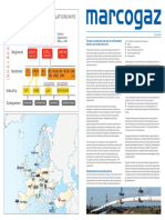 Technical Standards for Use in European NG Infrastructure, Marcogaz, Jun 2009