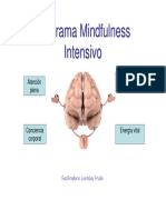 Programa Mindfulness Intensivo Formatio Curso Lorenlay