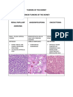 Tumors of The Kidney Benign Tumors of The Kidney