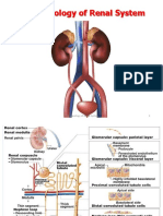 Pharmacology of Renal System