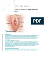 Alat Reproduksi Wanita Dan Bagian