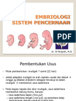 Embriologi Td