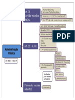 Administração Pública - IV PDF