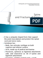Spine and Fracture of Spine