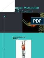 Fisiología Muscular