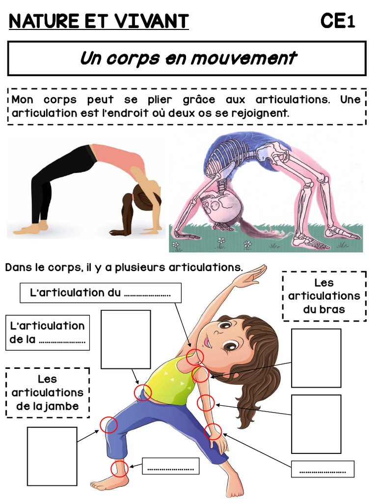 Articulations Et Mouvements Du Corps CE1 PDF