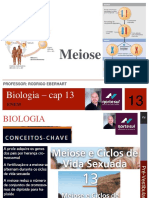 Aula de Meiose pdf.pdf