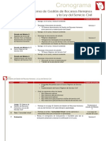 Cronograma _MOOC_LSC.pdf