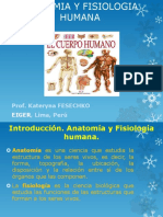 Introducción anatomía fisiología